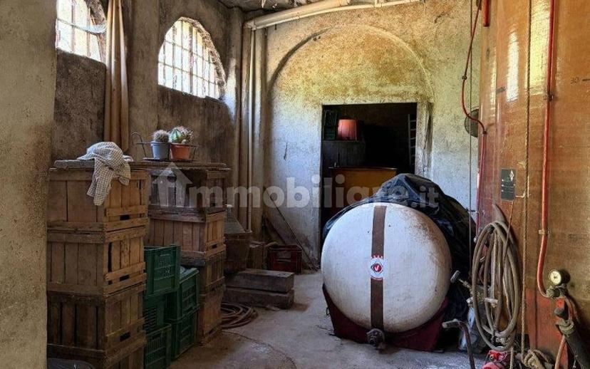 Cascina Strada Masino Inferiore 123, Cassine — foto 27 di 54