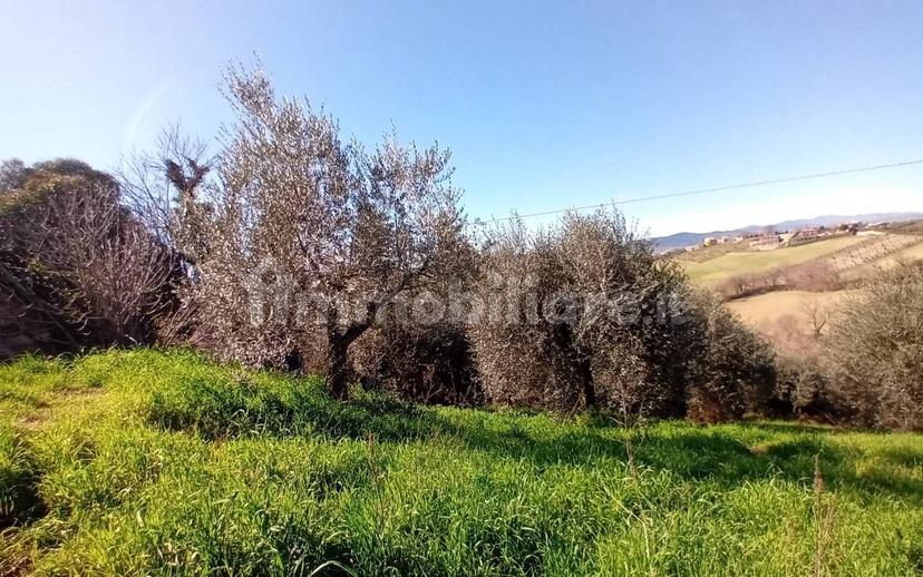 Casa colonica, buono stato, 335 m², Polymer - Collescipoli, Terni — foto 5 di 35