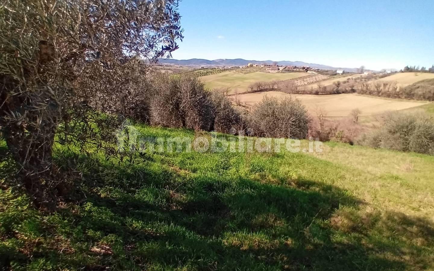 Casa colonica, buono stato, 335 m², Polymer - Collescipoli, Terni