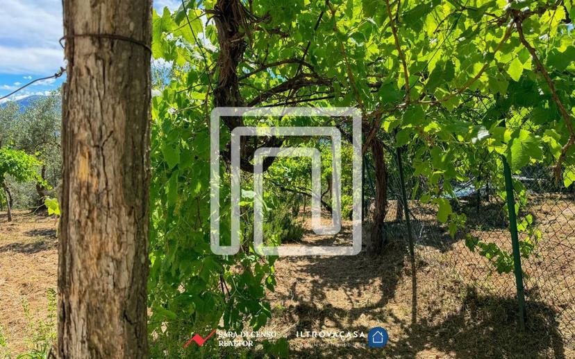 Villa unifamiliare via Nocella SNC, Roccacasale — foto 47 di 47