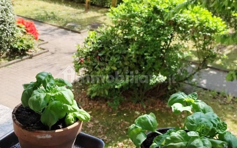 Bilocale via Olona 31, Sciarè, Gallarate — foto 9 di 14