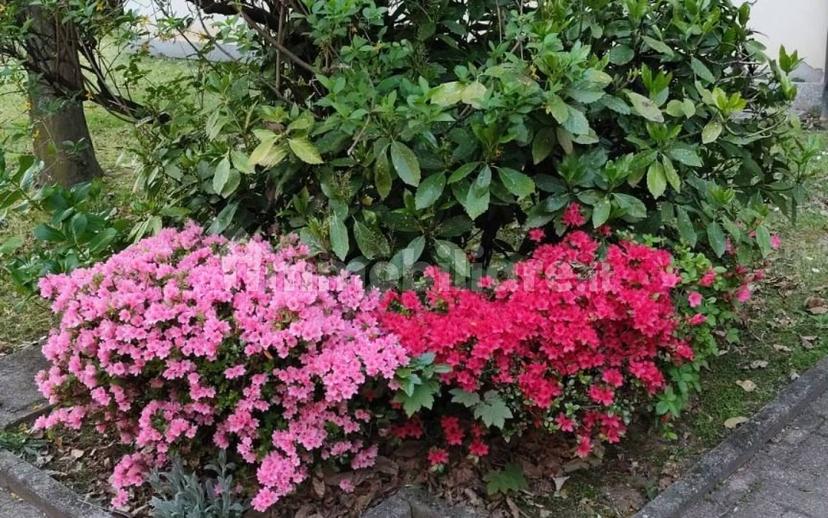 Bilocale via Olona 31, Sciarè, Gallarate — foto 13 di 14