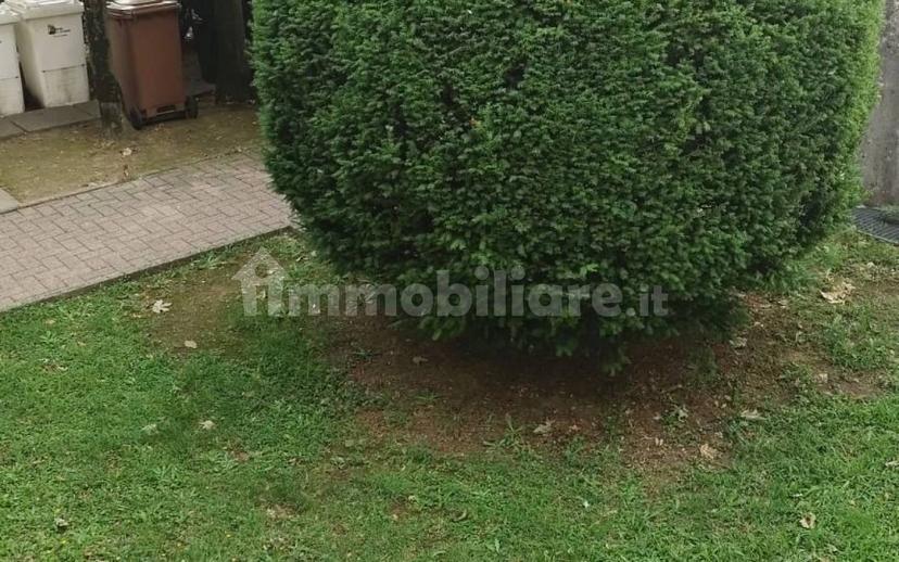 Bilocale via Olona 31, Sciarè, Gallarate — foto 6 di 14