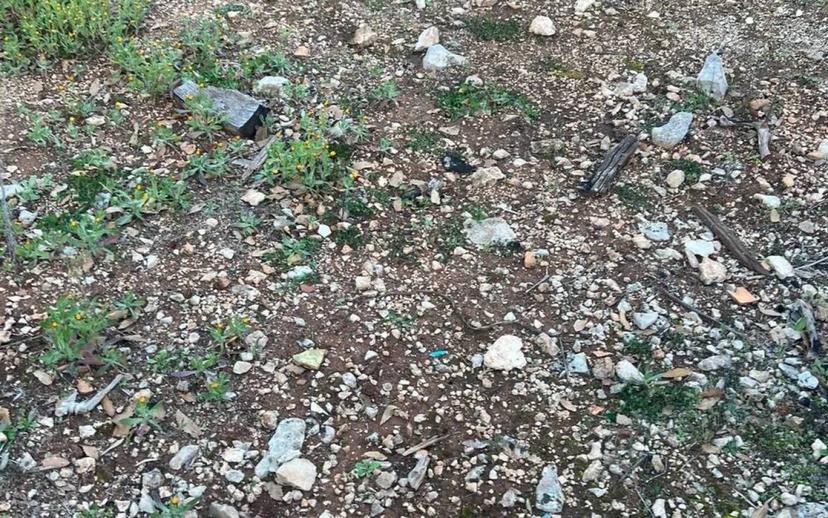 Rustico via Martina Franca Contrada Lamie Nuove, Martina Franca — foto 15 di 20
