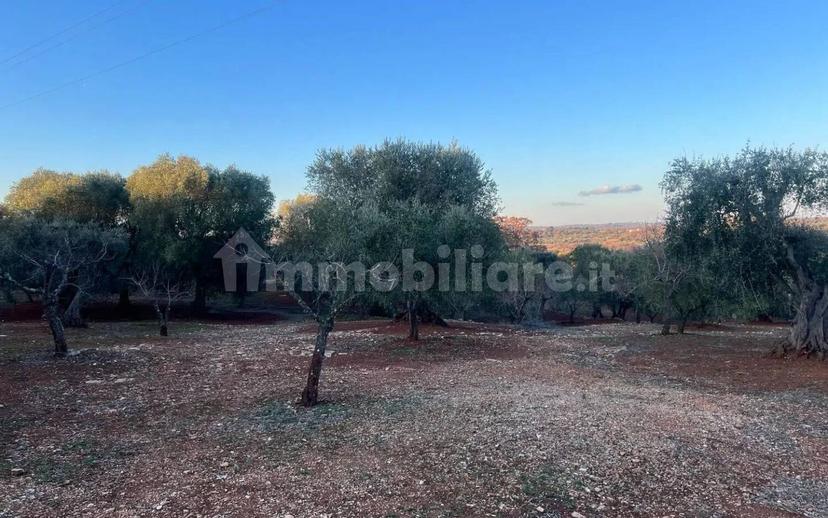 Rustico via Martina Franca Contrada Lamie Nuove, Martina Franca — foto 4 di 20