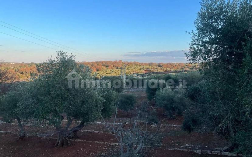 Rustico via Martina Franca Contrada Lamie Nuove, Martina Franca — foto 18 di 20