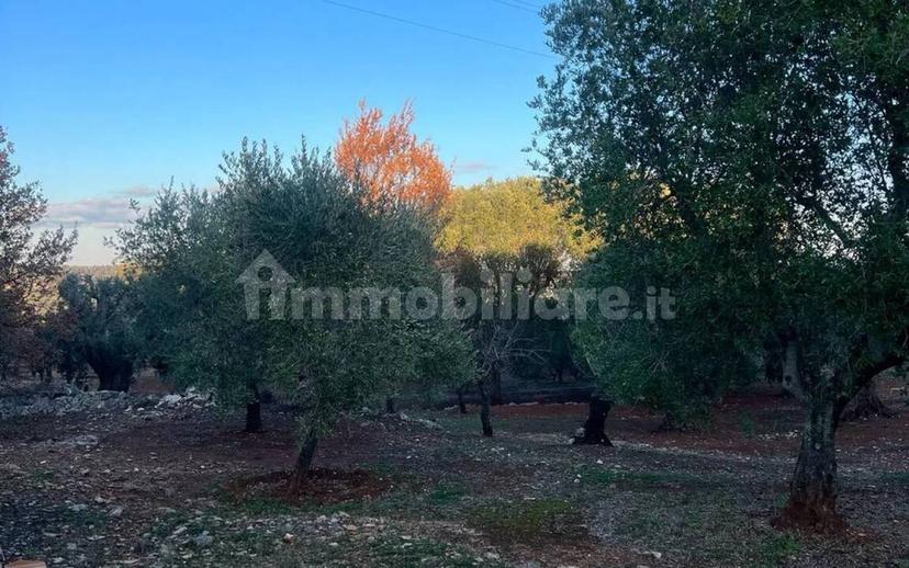 Rustico via Martina Franca Contrada Lamie Nuove, Martina Franca — foto 17 di 20