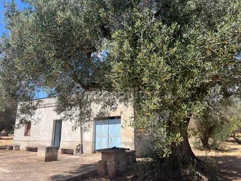 Rustico via Villa Castelli San C, Martina Franca — foto 17 di 45