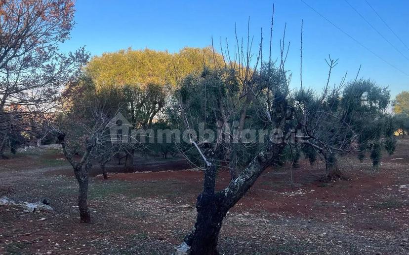 Rustico via Martina Franca Contrada Lamie Nuove, Martina Franca — foto 9 di 20