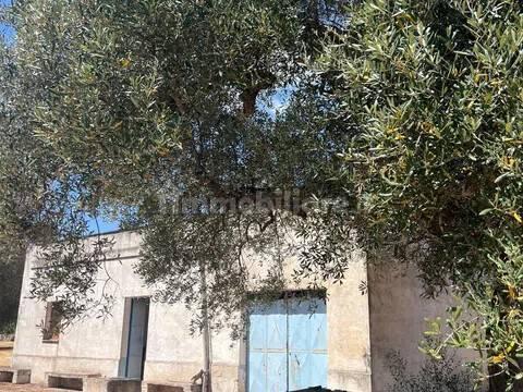 Rustico via Villa Castelli San C, Martina Franca — foto 11 di 45