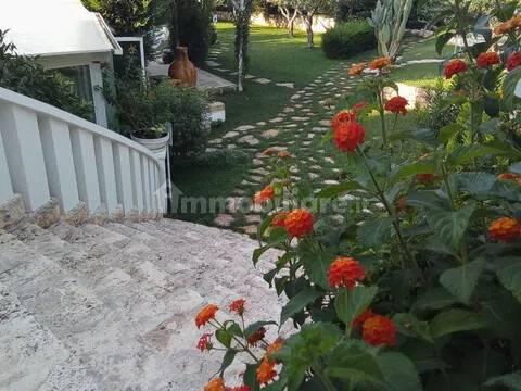 Villa unifamiliare, buono stato, 400 m², Cisternino — foto 59 di 63