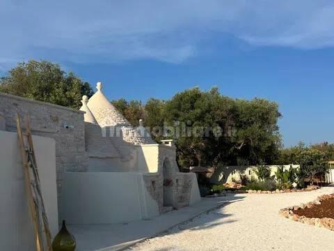 Rustico, buono stato, 400 m², Via Ludovico, Corso Umberto I, Vittorio Emanuele, Ostuni — foto 2 di 88