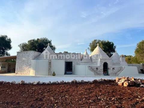 Rustico, buono stato, 400 m², Via Ludovico, Corso Umberto I, Vittorio Emanuele, Ostuni — foto 10 di 88