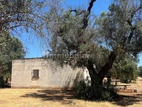 Rustico via Villa Castelli San C, Martina Franca — foto 8 di 45