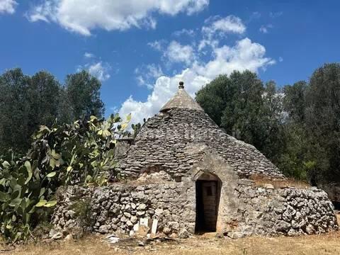 Rustico via Villa Castelli San C, Martina Franca — foto 6 di 45