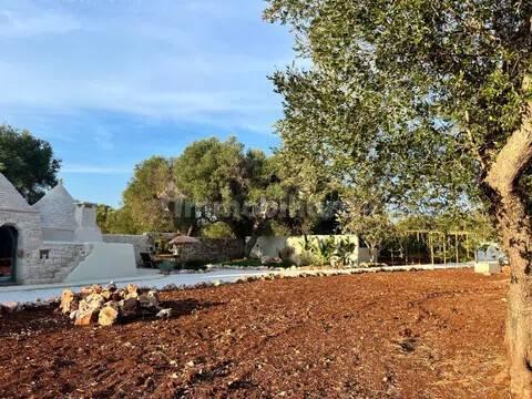 Rustico, buono stato, 400 m², Via Ludovico, Corso Umberto I, Vittorio Emanuele, Ostuni — foto 50 di 88