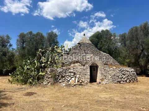 Rustico via Villa Castelli San C, Martina Franca — foto 24 di 45