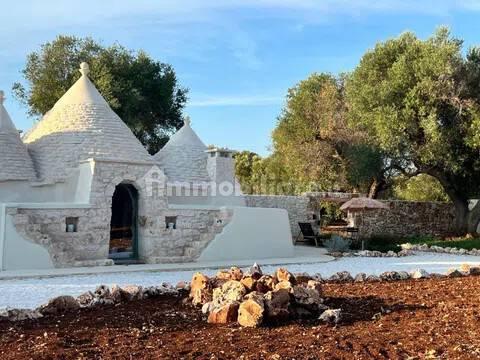 Rustico, buono stato, 400 m², Via Ludovico, Corso Umberto I, Vittorio Emanuele, Ostuni — foto 87 di 88