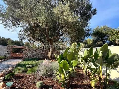 Rustico, buono stato, 400 m², Via Ludovico, Corso Umberto I, Vittorio Emanuele, Ostuni — foto 80 di 88