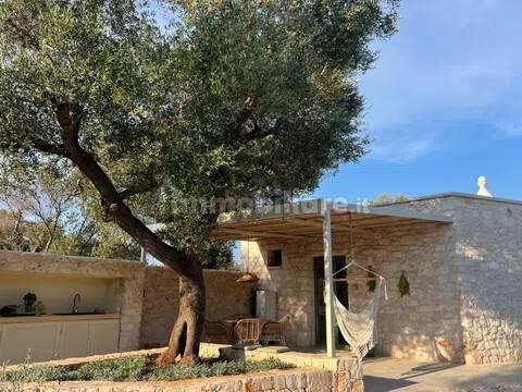 Rustico, buono stato, 400 m², Via Ludovico, Corso Umberto I, Vittorio Emanuele, Ostuni — foto 8 di 88