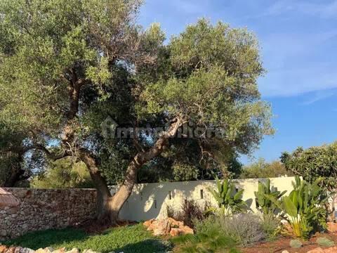 Rustico, buono stato, 400 m², Via Ludovico, Corso Umberto I, Vittorio Emanuele, Ostuni — foto 34 di 88