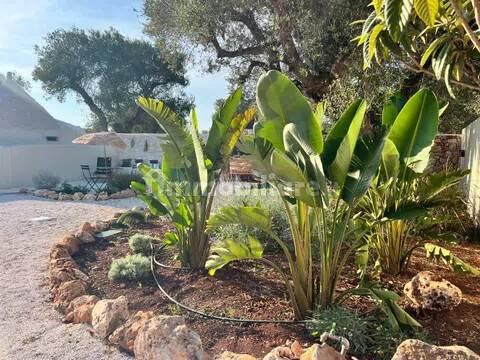Rustico, buono stato, 400 m², Via Ludovico, Corso Umberto I, Vittorio Emanuele, Ostuni — foto 72 di 88