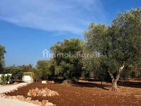 Rustico, buono stato, 400 m², Via Ludovico, Corso Umberto I, Vittorio Emanuele, Ostuni — foto 70 di 88