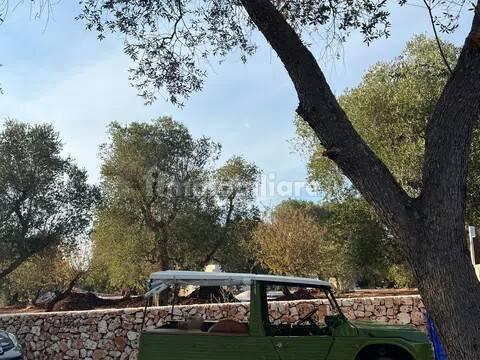 Rustico, buono stato, 400 m², Via Ludovico, Corso Umberto I, Vittorio Emanuele, Ostuni — foto 61 di 88