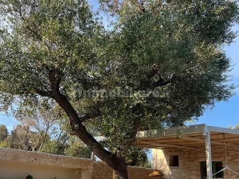 Rustico, buono stato, 400 m², Via Ludovico, Corso Umberto I, Vittorio Emanuele, Ostuni — foto 41 di 88