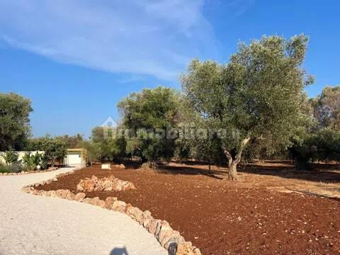 Rustico, buono stato, 400 m², Via Ludovico, Corso Umberto I, Vittorio Emanuele, Ostuni — foto 83 di 88