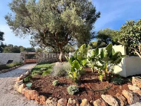 Rustico, buono stato, 400 m², Via Ludovico, Corso Umberto I, Vittorio Emanuele, Ostuni — foto 5 di 88