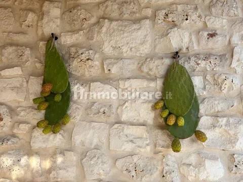 Rustico, buono stato, 400 m², Via Ludovico, Corso Umberto I, Vittorio Emanuele, Ostuni — foto 75 di 88