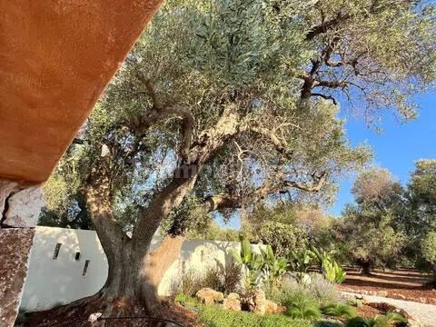 Rustico, buono stato, 400 m², Via Ludovico, Corso Umberto I, Vittorio Emanuele, Ostuni — foto 84 di 88
