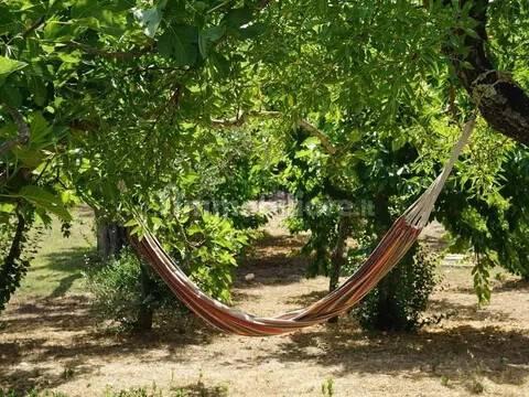 Rustico viale Europa No Number, Ceglie Messapica — foto 26 di 31
