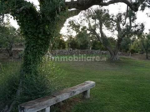 Rustico viale Europa No Number, Ceglie Messapica — foto 16 di 31