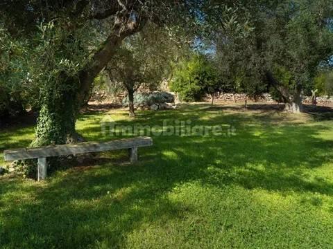 Rustico viale Europa No Number, Ceglie Messapica — foto 12 di 31