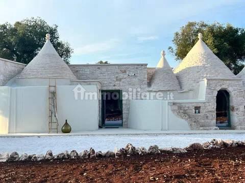 Rustico, buono stato, 400 m², Via Ludovico, Corso Umberto I, Vittorio Emanuele, Ostuni — foto 51 di 88