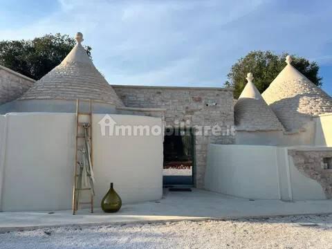 Rustico, buono stato, 400 m², Via Ludovico, Corso Umberto I, Vittorio Emanuele, Ostuni — foto 37 di 88