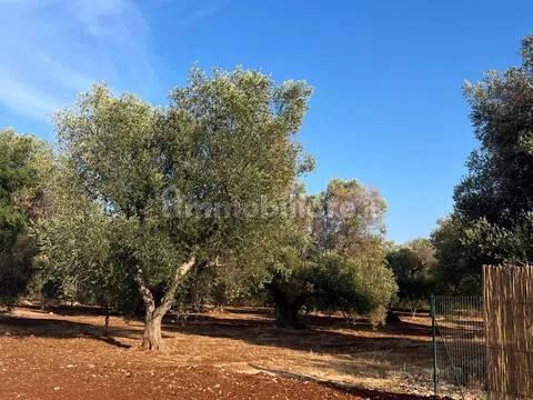 Rustico, buono stato, 400 m², Via Ludovico, Corso Umberto I, Vittorio Emanuele, Ostuni — foto 25 di 88