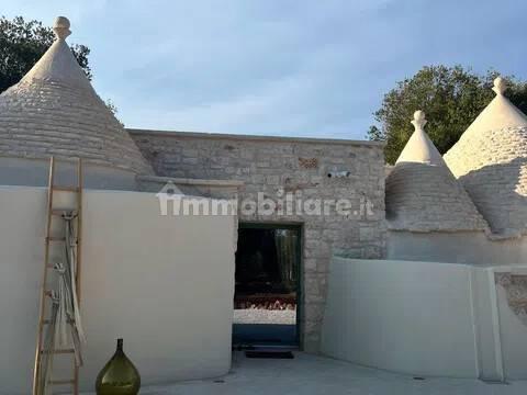 Rustico, buono stato, 400 m², Via Ludovico, Corso Umberto I, Vittorio Emanuele, Ostuni — foto 29 di 88