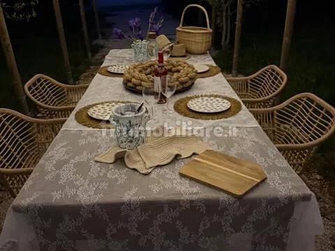 Rustico, buono stato, 400 m², Via Ludovico, Corso Umberto I, Vittorio Emanuele, Ostuni — foto 52 di 88