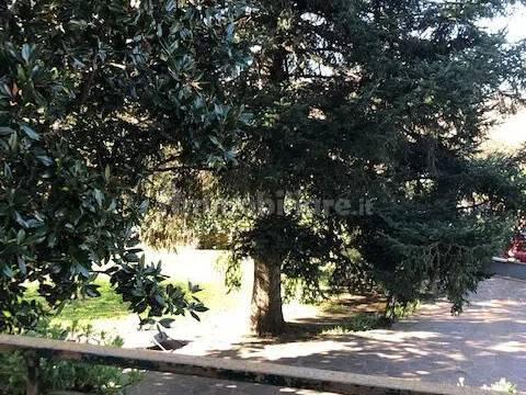 Villa unifamiliare via Pajanello, 8, Capranica — foto 8 di 17