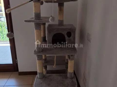 Bilocale Località Olmo, 186, Olmo, Arezzo — foto 13 di 19