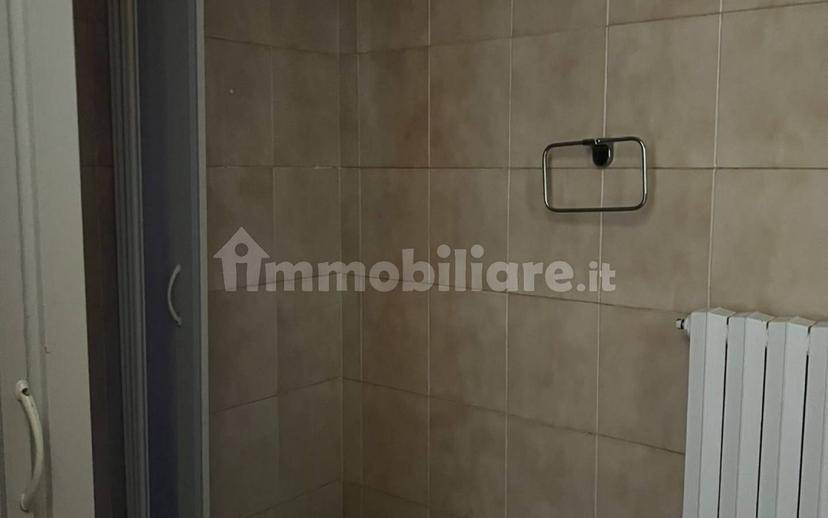 Bilocale via Giuseppe Garibaldi, Centro, Scandiano — foto 15 di 18