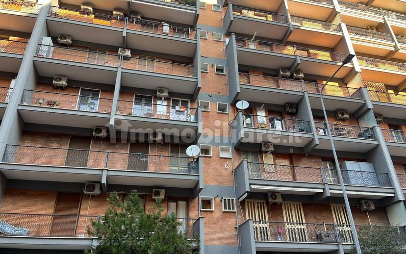 Quadrilocale via Celestino Galiani 28, San Michele, Foggia — foto 2 di 19