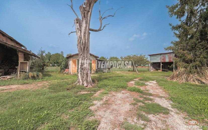 Terratetto unifamiliare via Canala, Piangipane - Santerno, Ravenna — foto 14 di 50