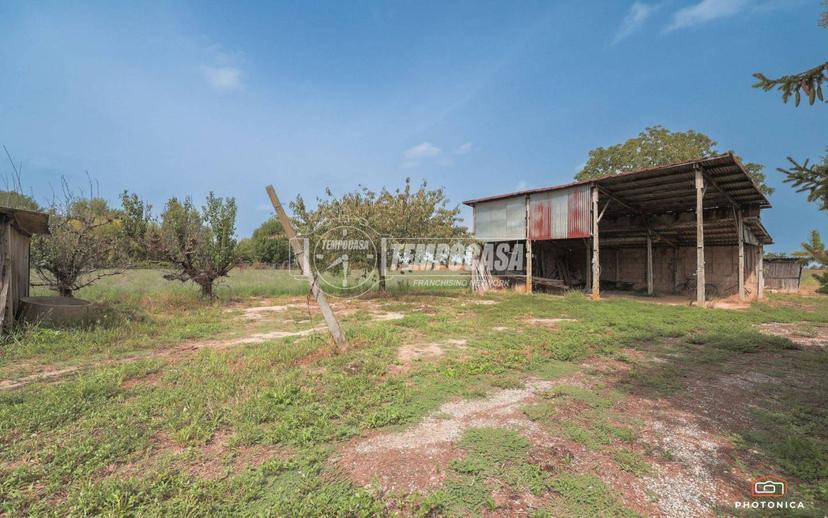 Terratetto unifamiliare via Canala, Piangipane - Santerno, Ravenna — foto 15 di 50