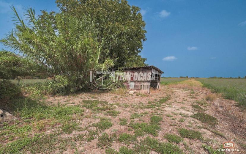 Terratetto unifamiliare via Canala, Piangipane - Santerno, Ravenna — foto 12 di 50