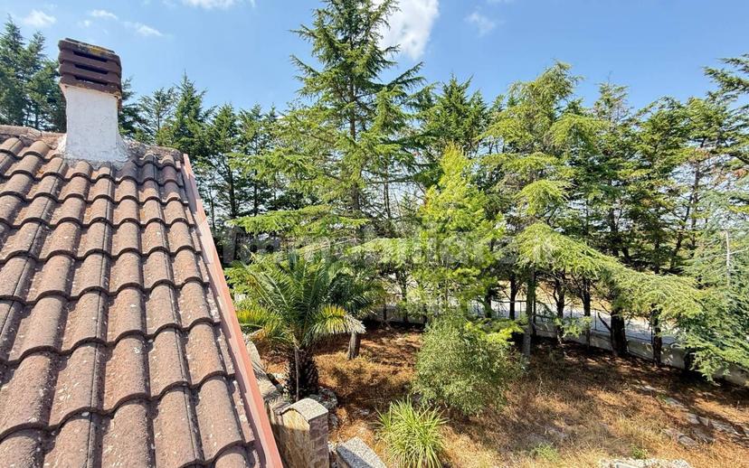 Villa a schiera via Villaggio Lagobattaglia 123, Borgo Fra' Diavolo, Cassano delle Murge — foto 27 di 55