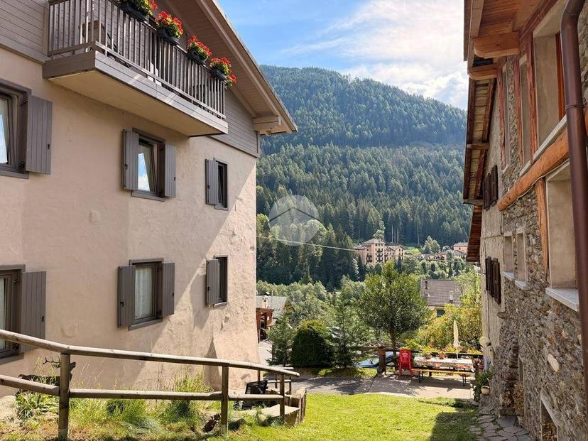 Monolocale via Sandro Bonicelli 11, Centro, Ponte di Legno — foto 9 di 14